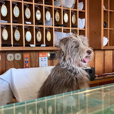 بينغ بونغ ليدو دي أوستيا