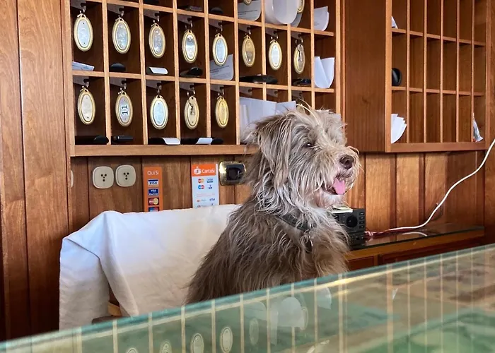 Ping Pong לידו די אוסטיה